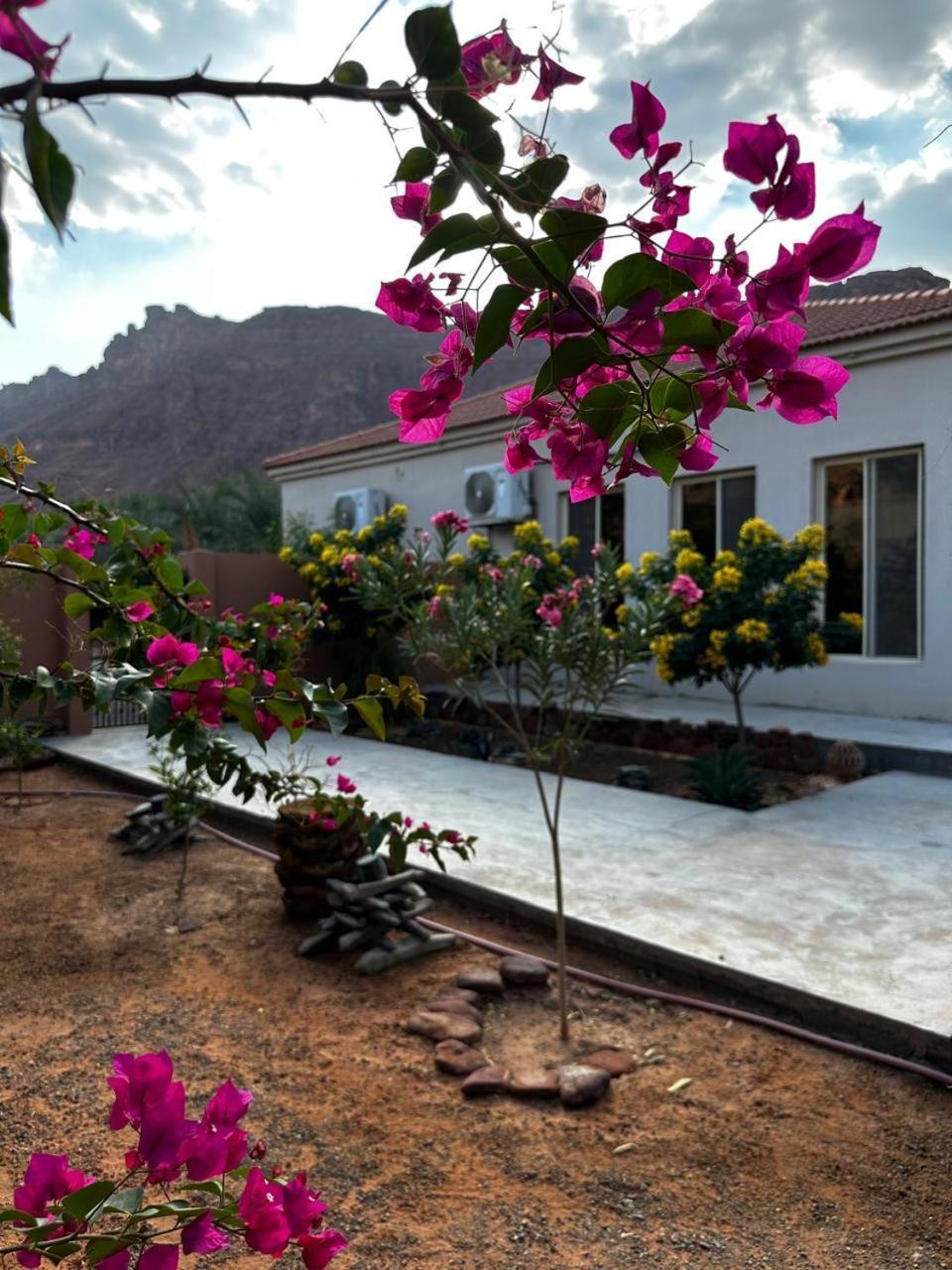 بمزرعة